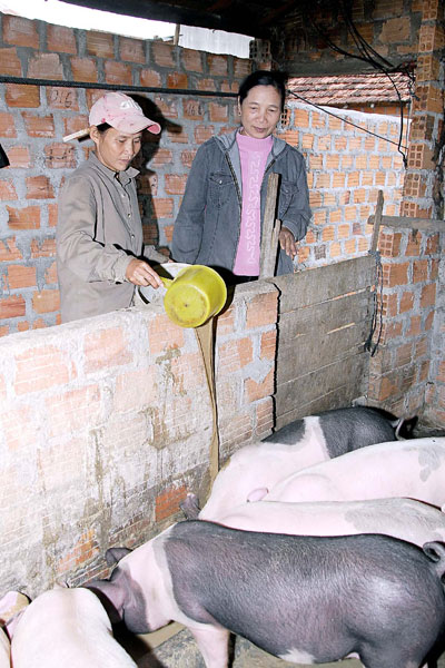 จังหวัดGia Lai มีครอบครัวที่หลุดพ้นจากความยากจนกว่า๖หมื่น๗พันครอบครัวเนื่องจากได้กู้เงินทุนด้วยดอกเบี้ยต่ำจากธนาคารนโยบายสังคม